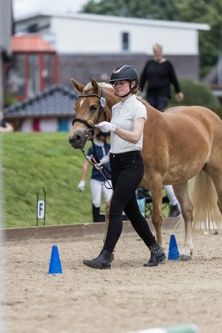 Bild 6 - Pony Akademie Turnier